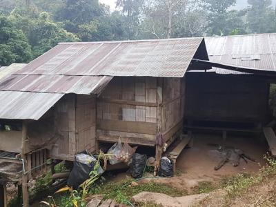 Photos de nos clients | Chiang Mai Trekking | Le meilleur trekking à Chiang Mai avec Piroon Nantaya